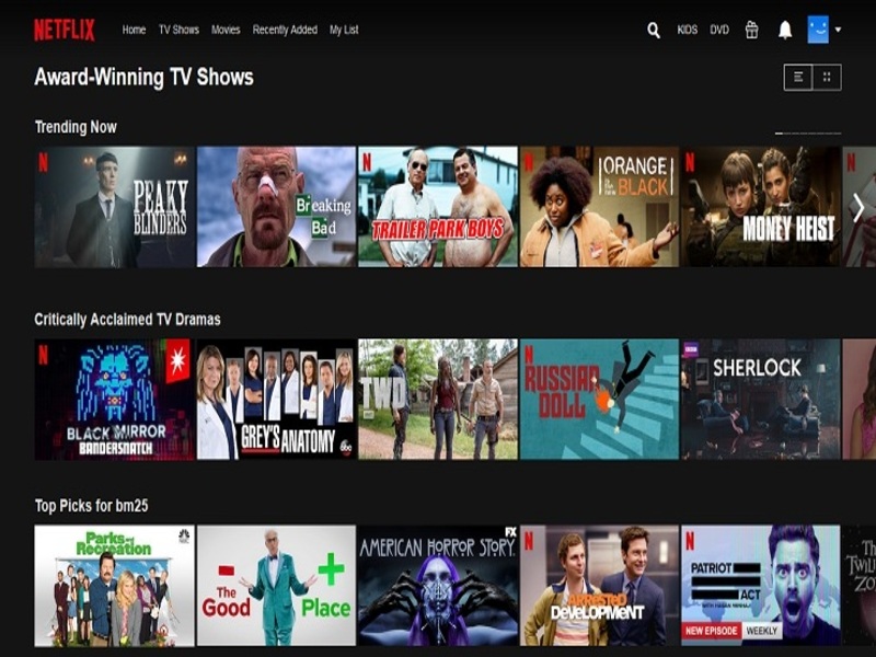 Phụ Đề & Đa Ngôn Ngữ Toàn Cầu Trong Netflix Premium Mod Apk