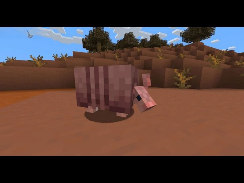 Tải Minecraft 1.21.0 APK Tiếng Việt Miễn Phí Mới Nhất Cho Android 5 Armadillo Là Sinh Vật Mới Của Quần Xã Savanna trong Minecraft 1.21.0 APK