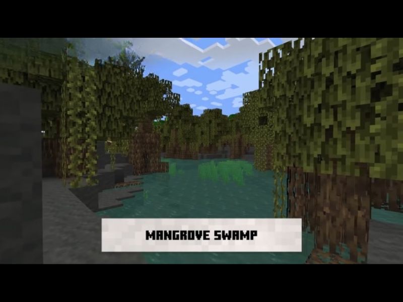 Tải Minecraft 1.19.2 Tiếng Việt Miễn Phí Cho Android 5 Rừng Ngập Mặn - Quần Xã Sinh Vật Hoàn Toàn Mới với Minecraft 1.19.2 Tiếng Việt