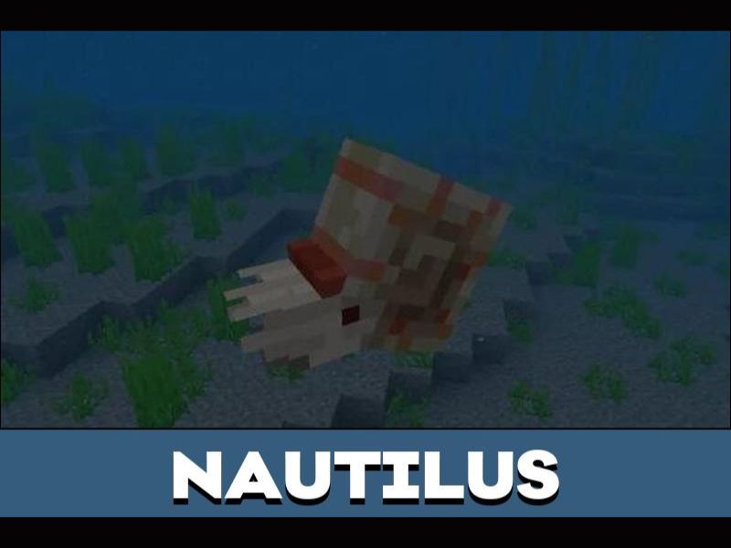 Tải Androidmentor Minecraft v1.21.132.1 Miễn Phí Cho Điện Thoại 2 Nautilus trong Androidmentor Minecraft