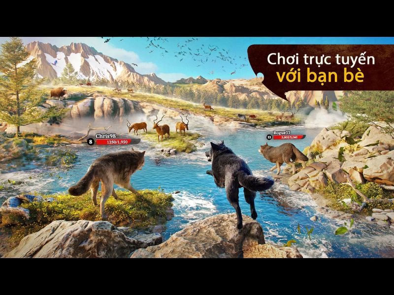Tải Hack The Wolf (Vô Hạn Tiền) v4.3.1 3 Đồng hành cùng người chơi khác trong Hack The Wolf