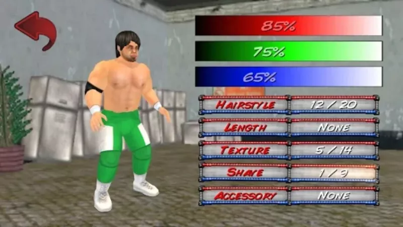 Tải Wrestling Revolution 3D MOD APK (Mở Khóa Tất Cả, Vô Hạn Tiền) 4 Các kiểu trận đấu trong Wrestling Revolution 3D