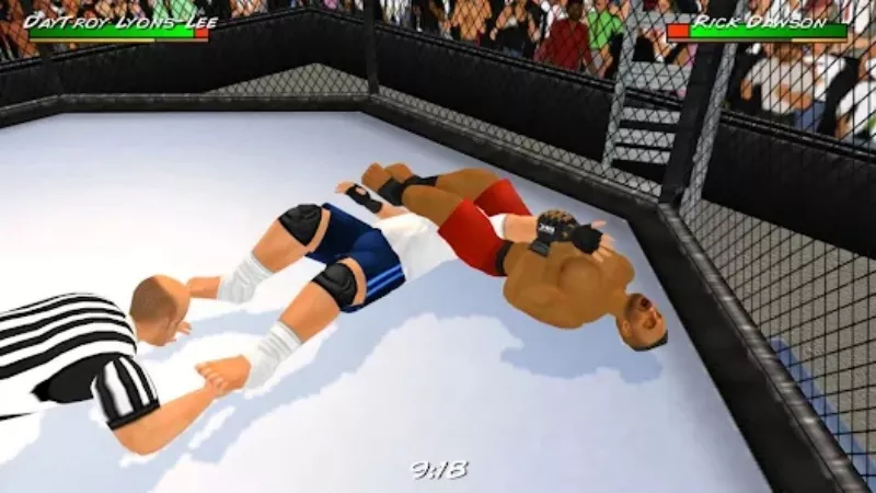 Tải Wrestling Revolution 3D MOD APK (Mở Khóa Tất Cả, Vô Hạn Tiền) 1 Giới thiệu về Wrestling Revolution 3D