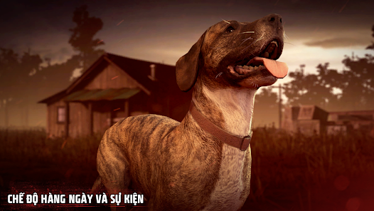 Tải Hack Into the Dead 2 MOD APK (Vô Hạn Đạn, Tiền, Năng Lượng) v1.87.0 3 Nhiệm vụ đưa người chơi qua nhiều tình huống khác nhau